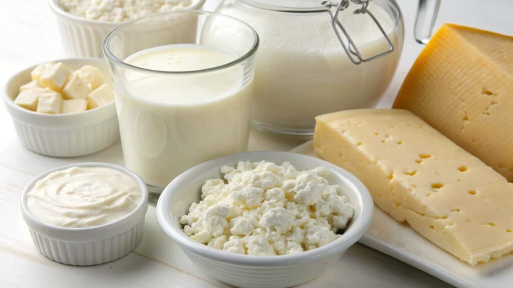 Fresh ingredients used to make Monterey Jack cheese, including milk, cream, and different cheese varieties, displayed on a white surface.

